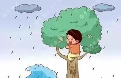 1653790918926581.jpg 微信圖片_20220529101852.jpg